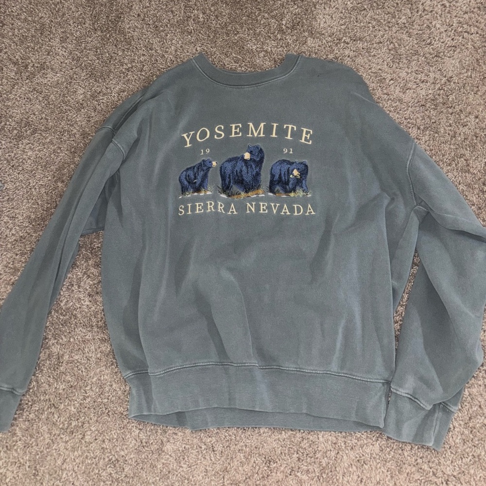 Brandy Melville Blue Yosemite Crew Neck Sweater